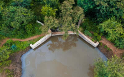 Bangalore University Sets an Example with a Comprehensive Rainwater Harvesting System