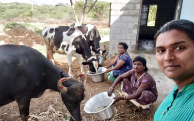 Economic Mobility for Transgender Community through Dairy Farming