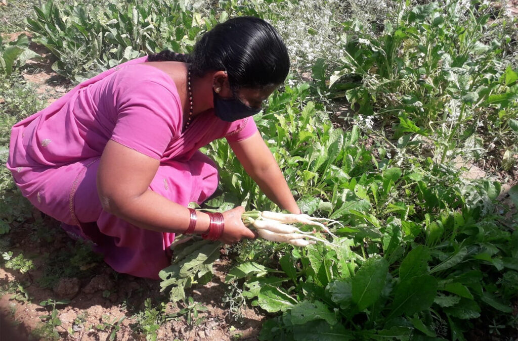 Nurturing KITCHEN GARDENS for a better life