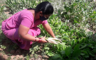 Nurturing KITCHEN GARDENS for a better life