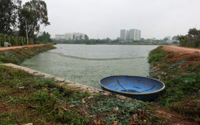 COP29: A Global Call to Action and United Way of Bengaluru’s Local Impact