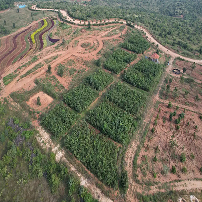 images for Biodiversity Initiatives